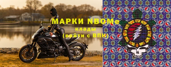 шишки Мегион