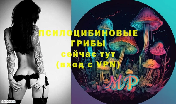 шишки Мегион
