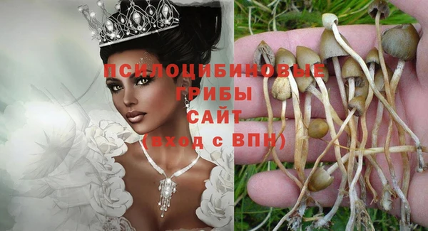 PSILOCYBIN Магас
