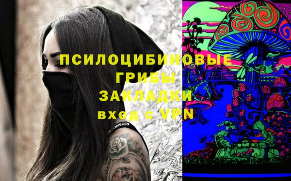 мдпв Медногорск