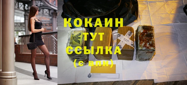 шишки Мегион