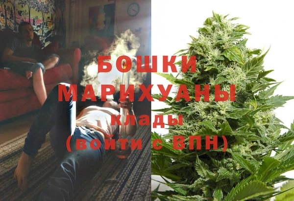шишки Мегион