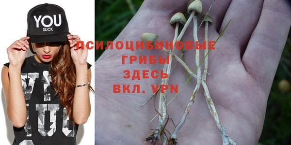 дживик Магадан