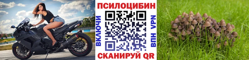 Галлюциногенные грибы прущие грибы  Купить  Тула 